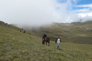 Horseback riding, horse, horses, horseback, Inti Punku, Peru, Ollantaytamb, Machu Picchu, Cusco, Cuzco