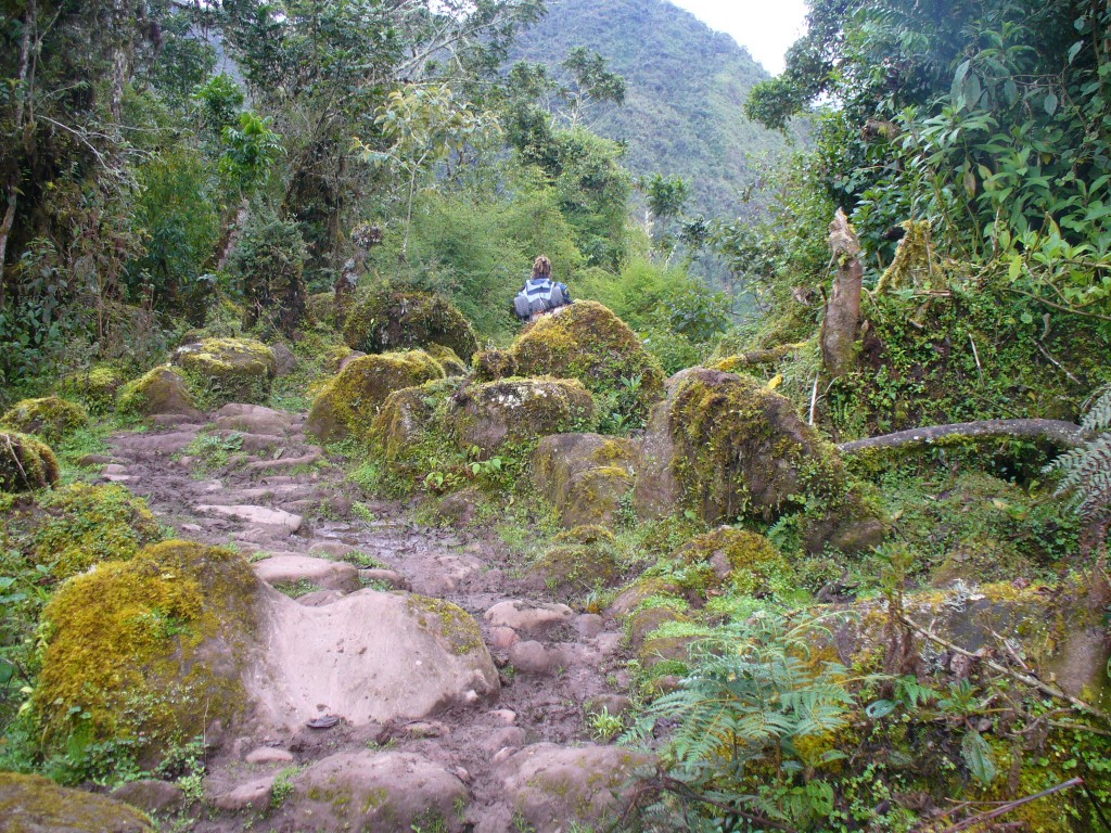 Espiritu Pampa, Espiritu Pampa trek, Espiritu Pampa hike, trek Espiritu Pampa, trek to Espiritu Pampa, Machu Picchu